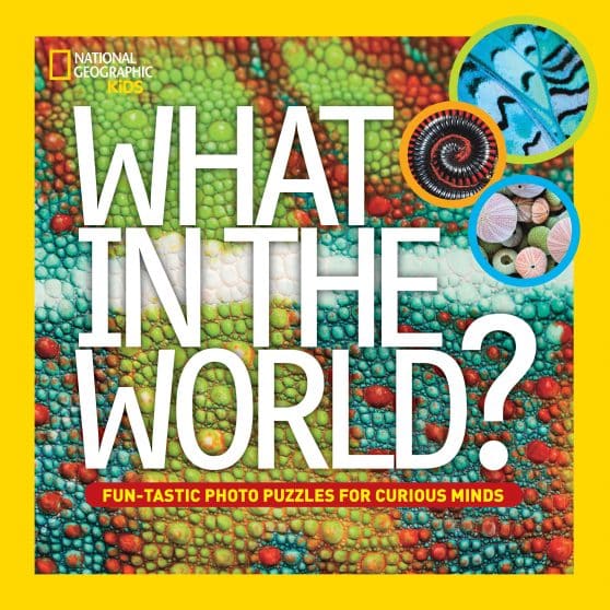 Fun-Tastic Photo Puzzles for Curious Minds: What in the World?