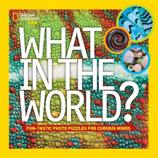 Fun-Tastic Photo Puzzles for Curious Minds: What in the World?