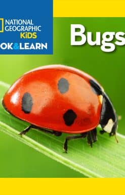 National Geographic Kids Look and Learn: Bugs