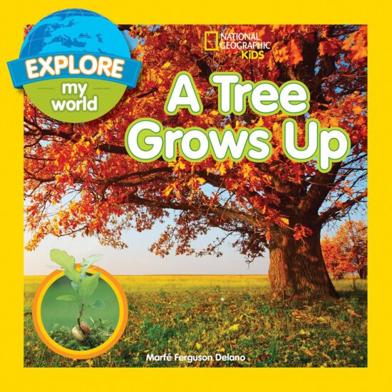 Explore My World A Tree Grows Up: