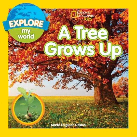 Explore My World A Tree Grows Up: