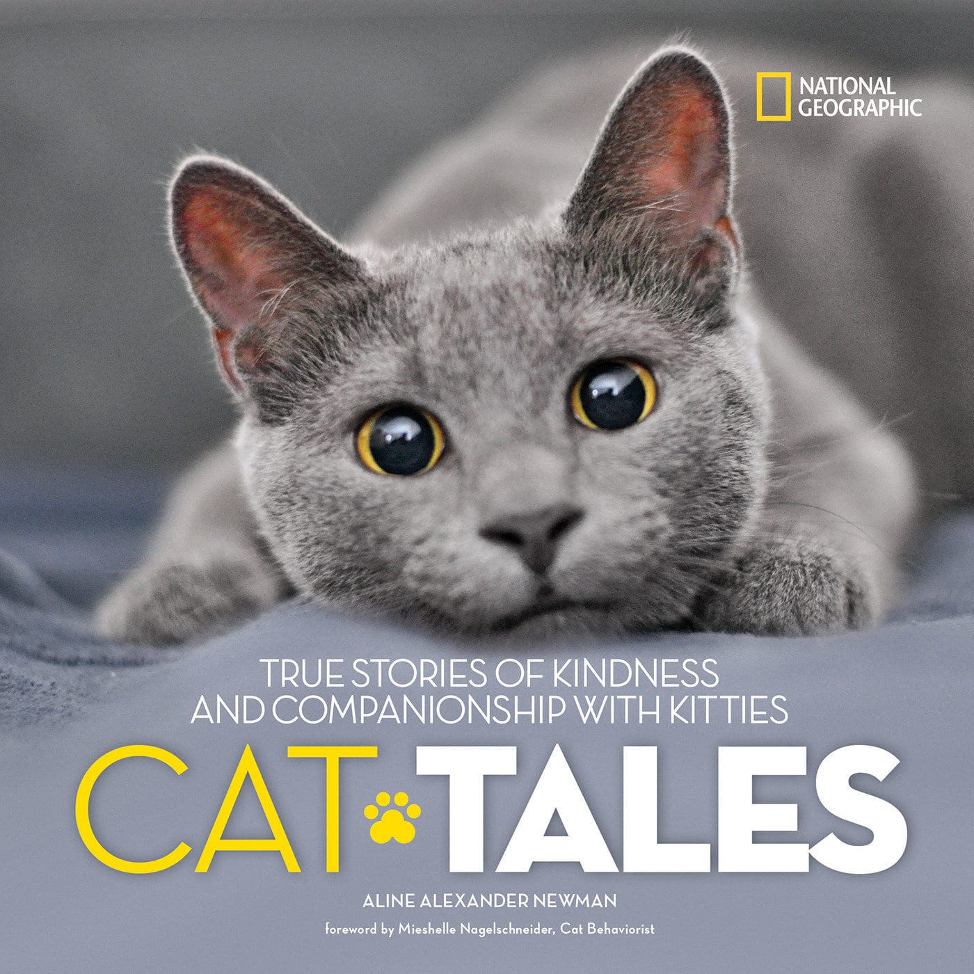 9781426327346 Cat Tales: True Stories of Kindness and Companionship With Kitties