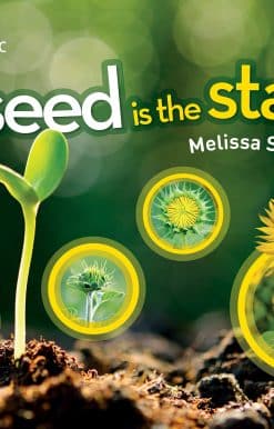 A Seed is the Start