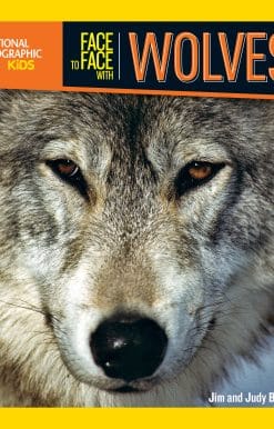 Face to Face with Wolves