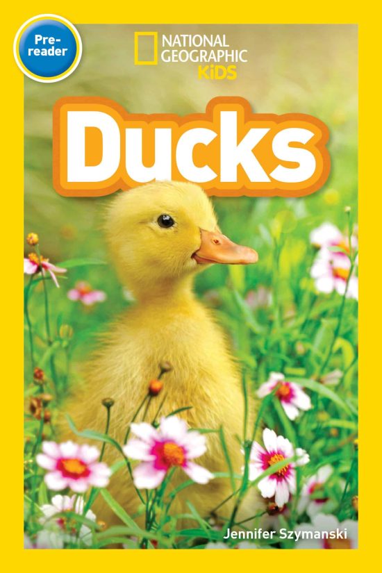 National Geographic Readers: Ducks (Prereader)