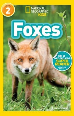 National Geographic Readers: Foxes (L2)