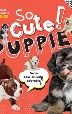 So Cute! Puppies