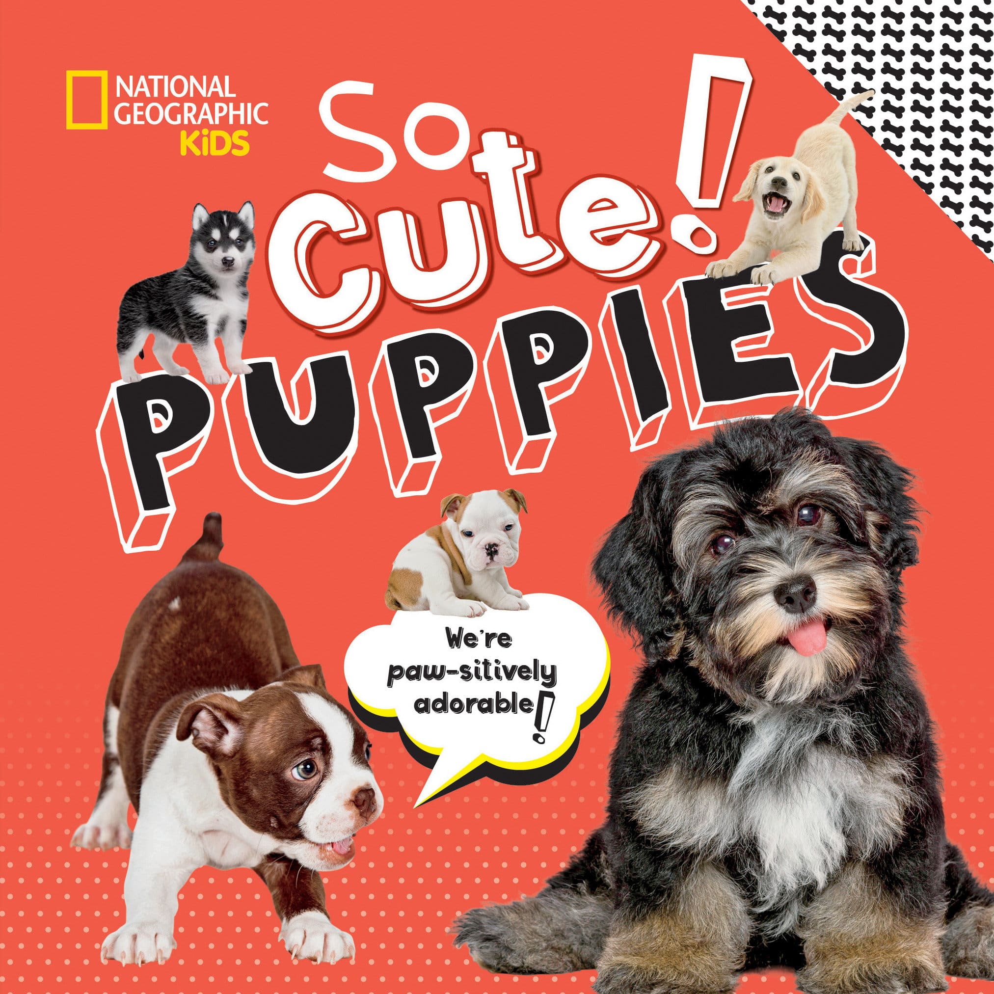 9781426339066 So Cute! Puppies
