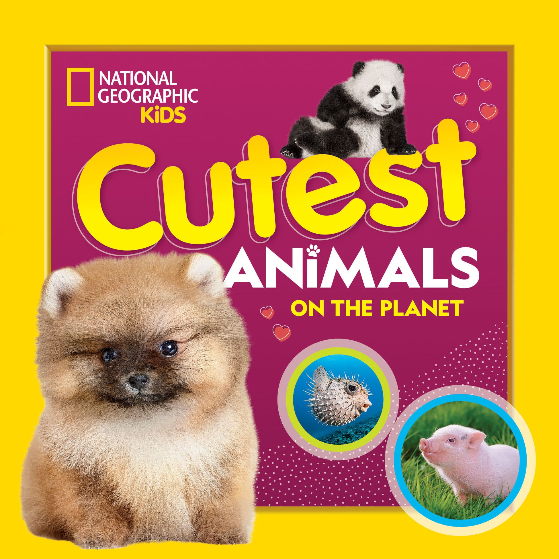 9781426339226 Cutest Animals on the Planet