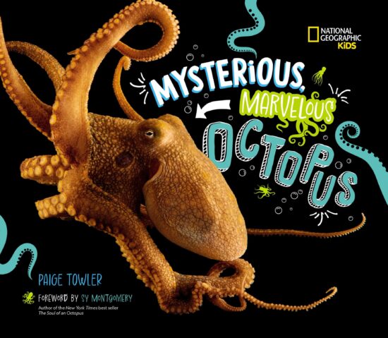 Mysterious, Marvelous Octopus!: