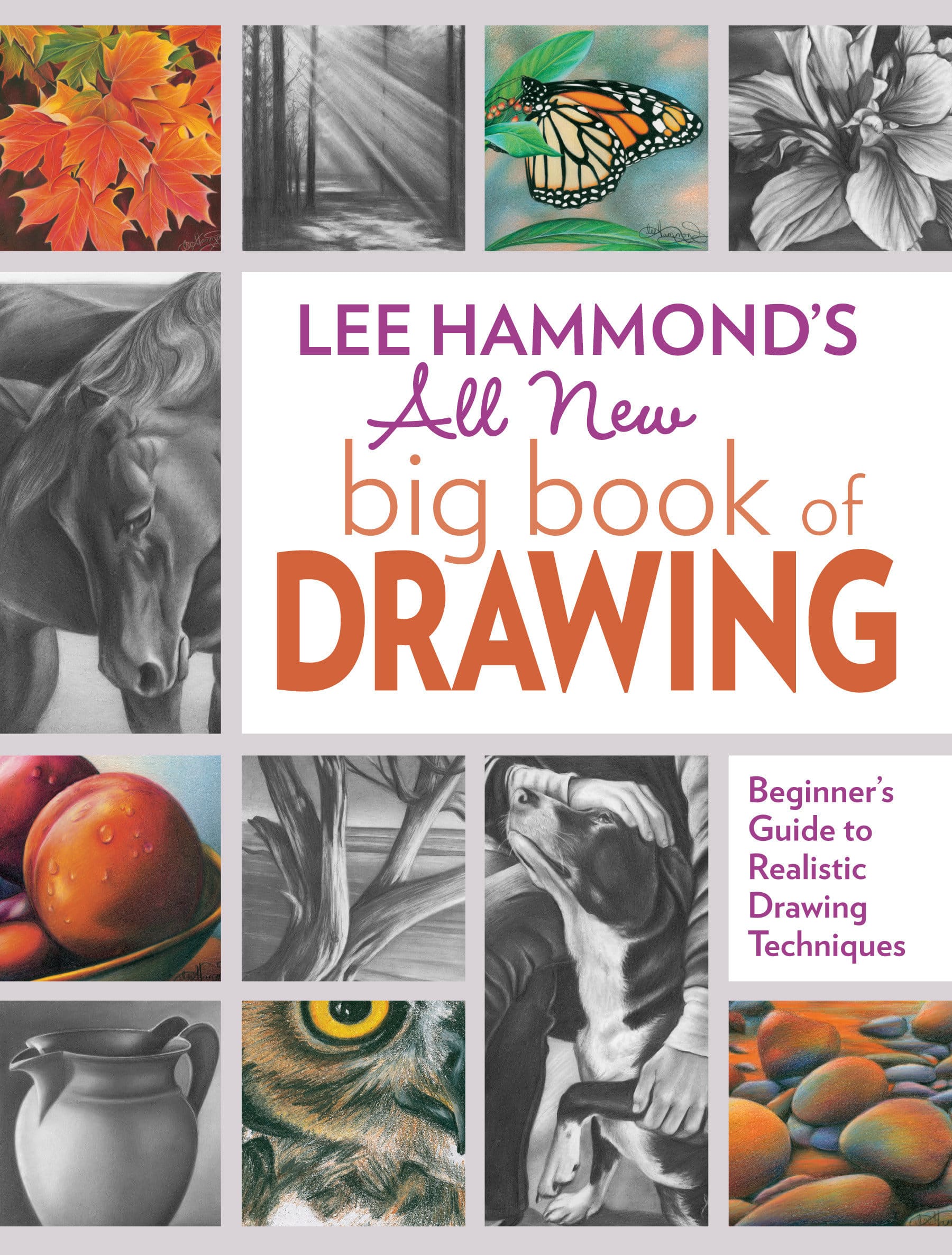 9781440343094 Lee Hammond's All New Big Book of Drawing: Beginner's Guide to Realistic Drawing Techniques