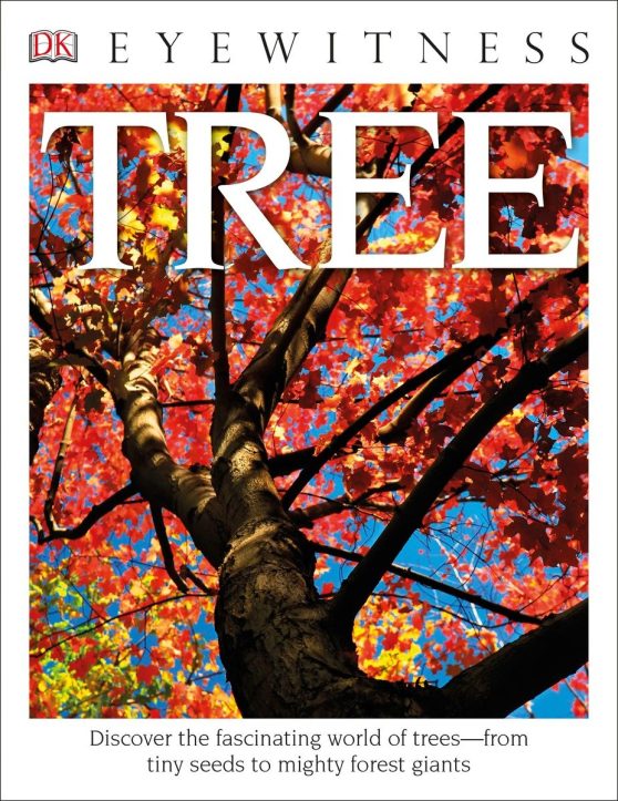 Eyewitness Tree: Discover the Fascinating World of Trees—from Tiny Seeds to Mighty Forest Giants