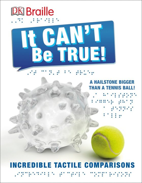 Incredible Tactile Comparisons: DK Braille: It Can't Be True