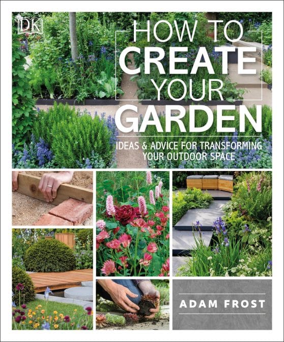 Ideas and Advice for Transforming Your Outdoor Space: How to Create Your Garden