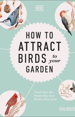 How to Attract Birds to Your Garden: Foods they like, plants they love, shelter they need