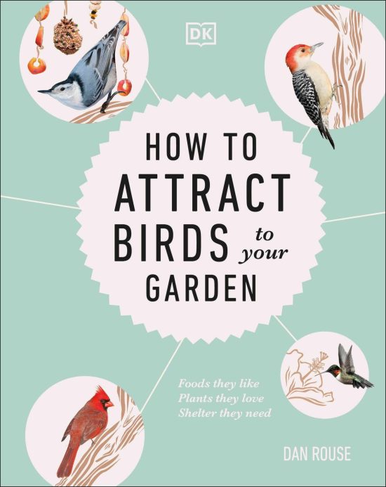 How to Attract Birds to Your Garden: Foods they like, plants they love, shelter they need