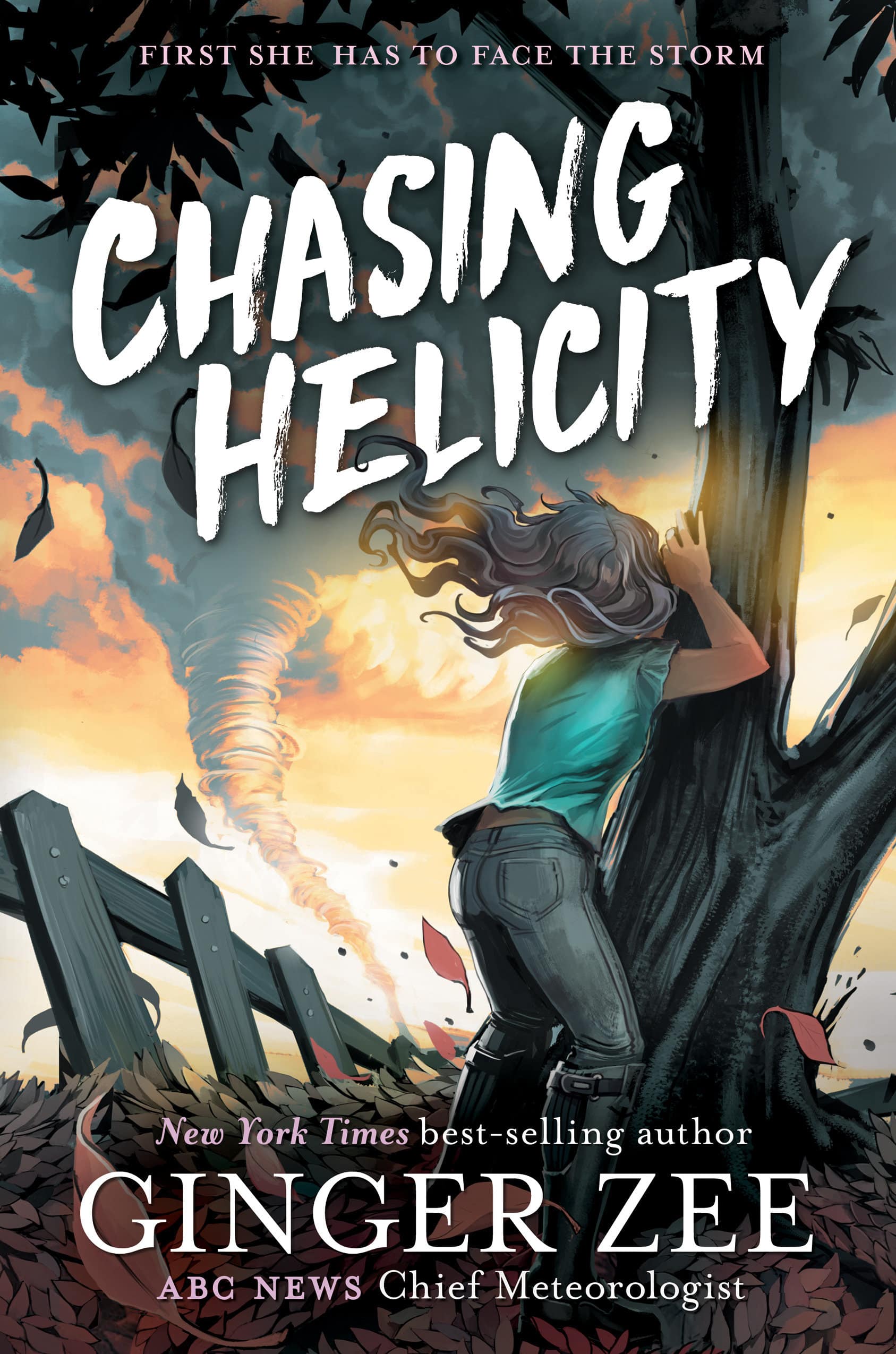 9781484780381 Chasing Helicity: Chasing Helicity-Chasing Helicity, Book 1