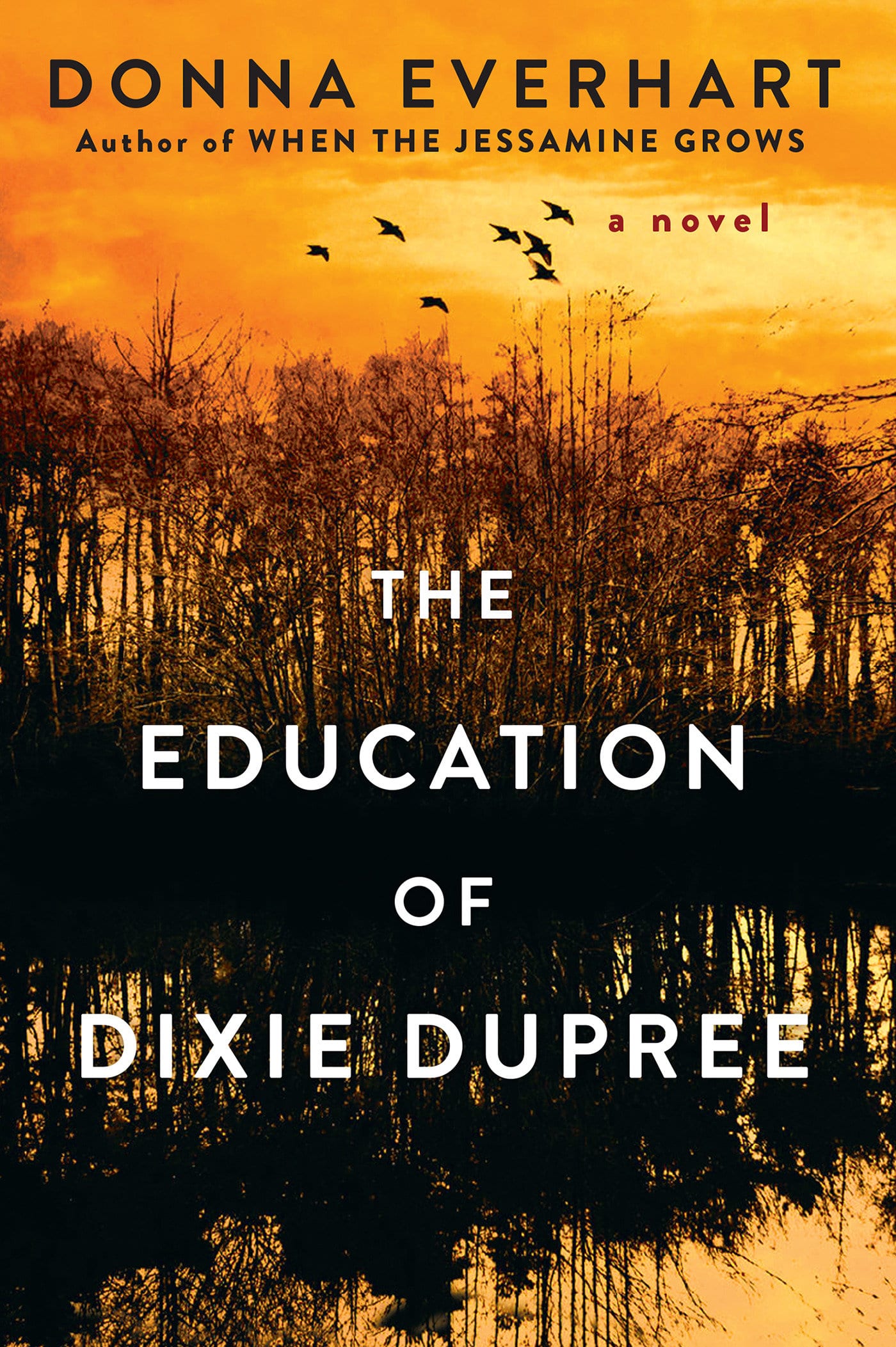 9781496705518 The Education of Dixie Dupree