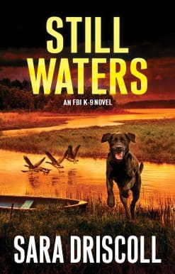 Still Waters: A Riveting Novel of Suspense