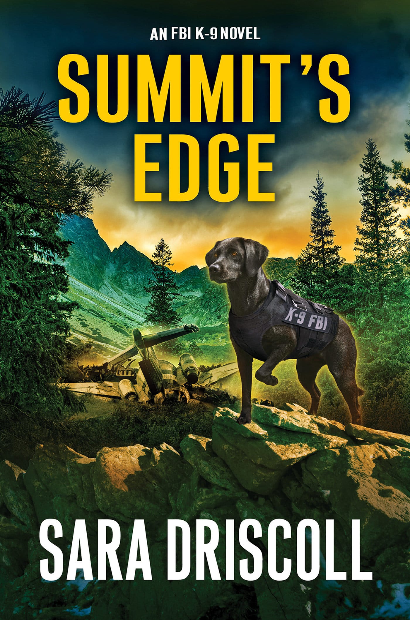 9781496744005 Summit’s Edge