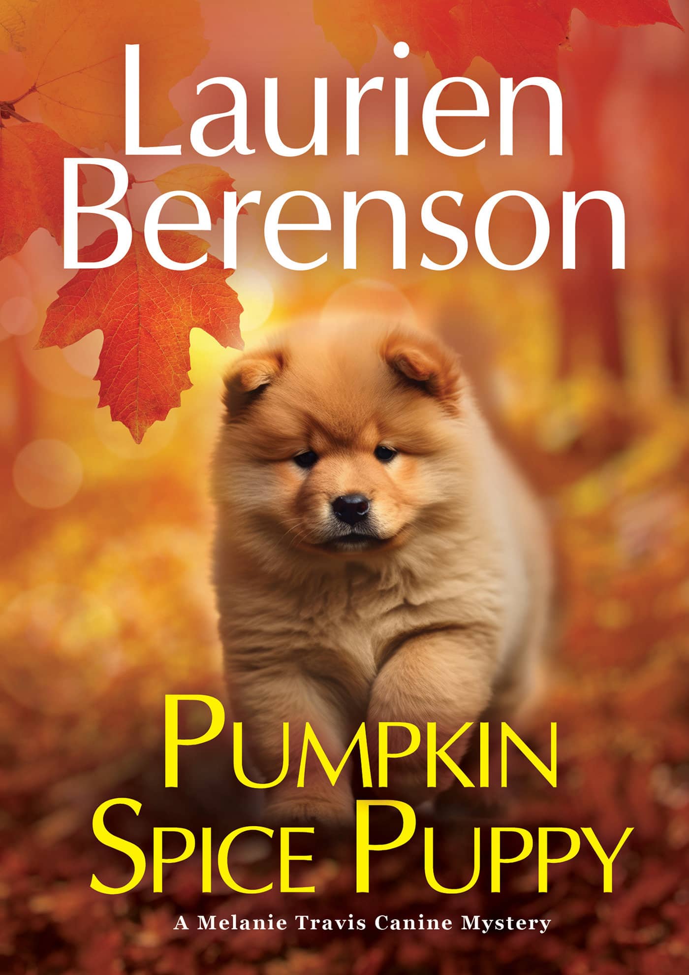 9781496750624 Pumpkin Spice Puppy