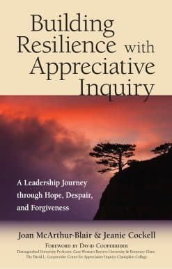 A Leadership Journey through Hope, Despair, and Forgiveness: Building Resilience with Appreciative Inquiry 