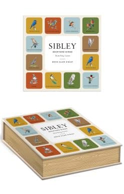 Sibley Backyard Birds Matching Game: A Memory Game with 20 Matching Pairs for Children