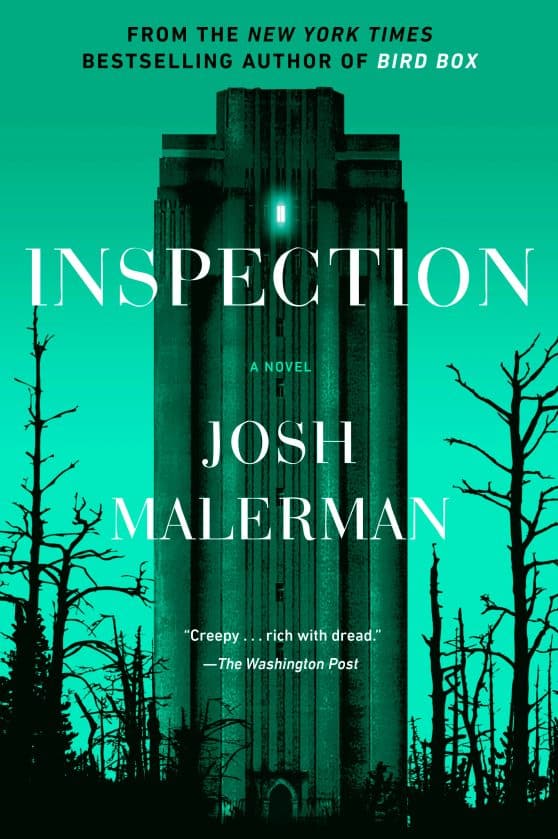A Novel: Inspection