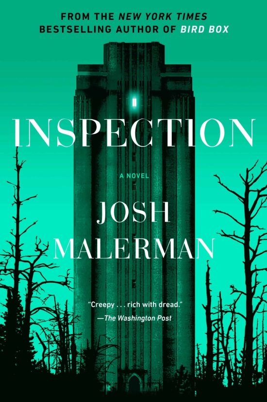 A Novel: Inspection