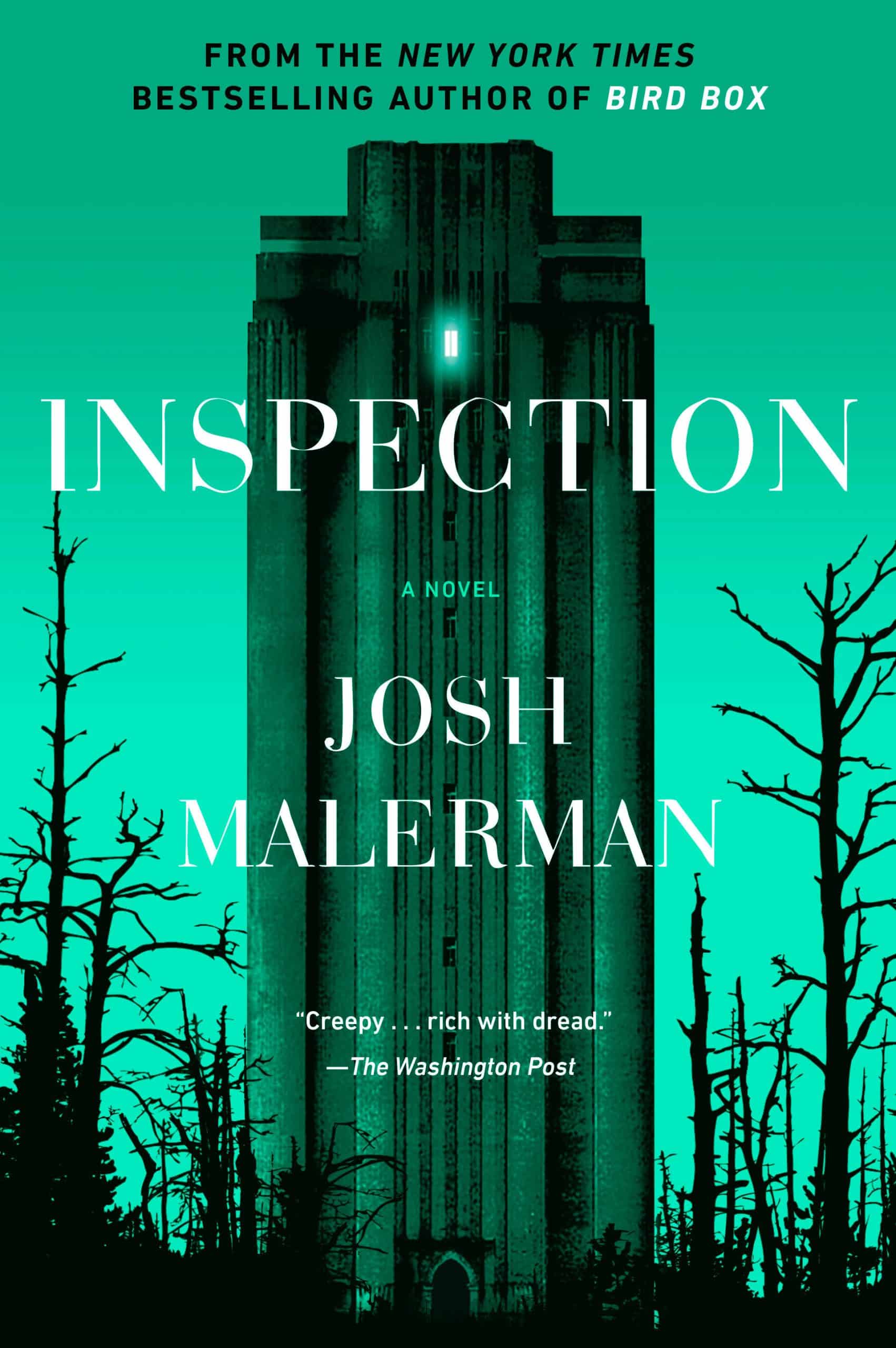 A Novel: Inspection