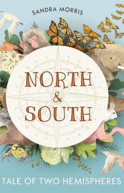 North and South: A Tale of Two Hemispheres