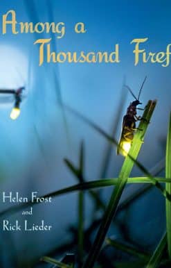 Among a Thousand Fireflies