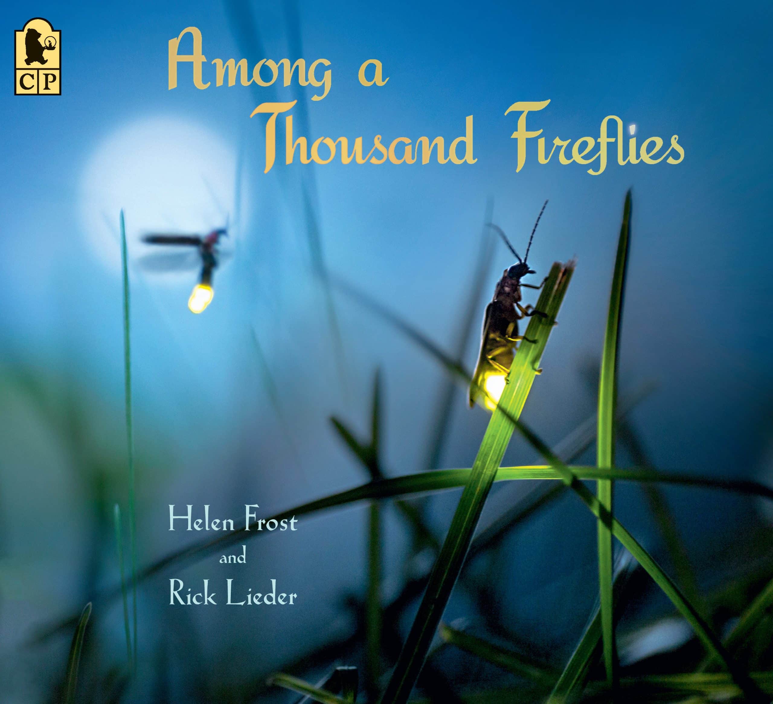 9781536205626 Among a Thousand Fireflies