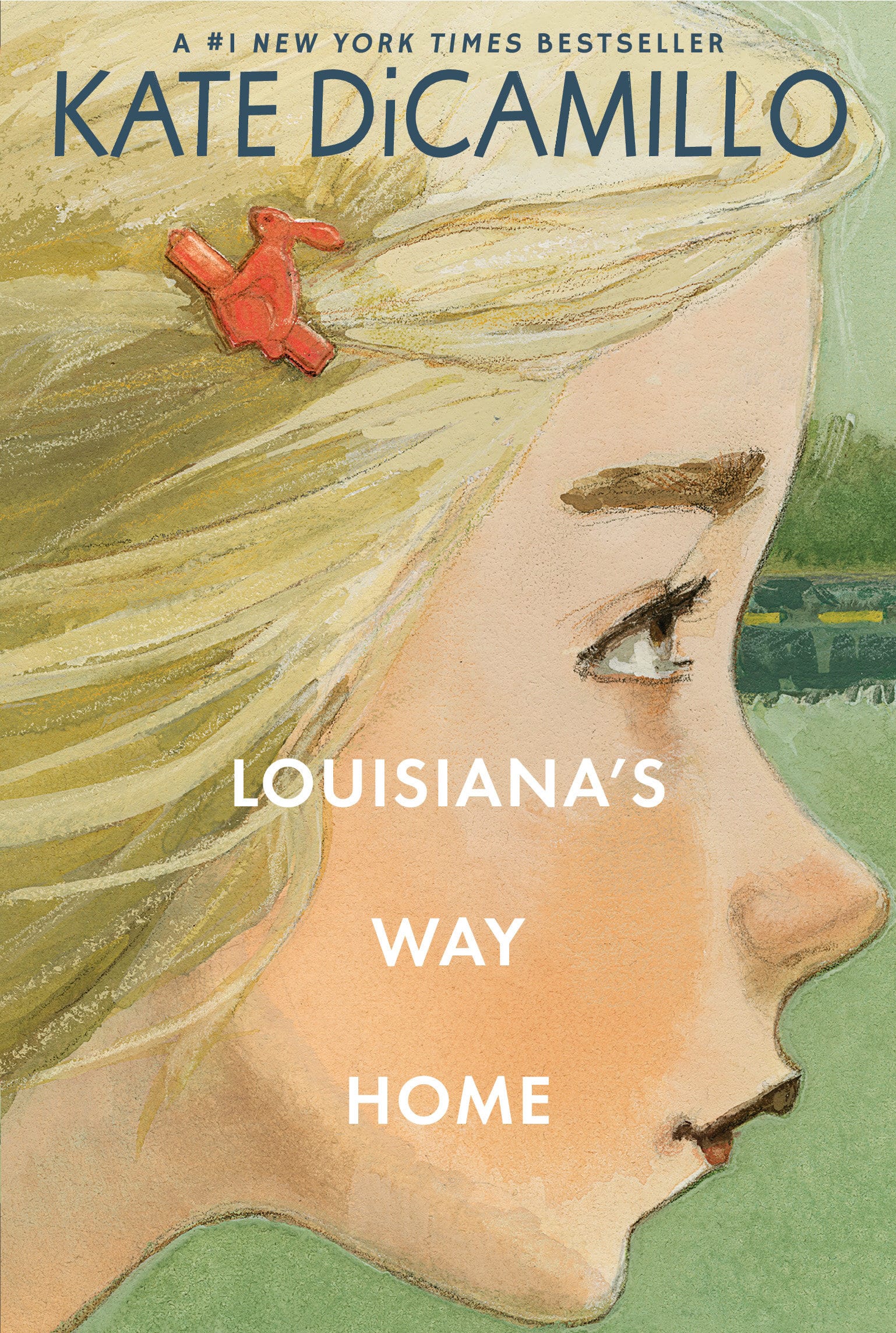 9781536207996 Louisiana's Way Home