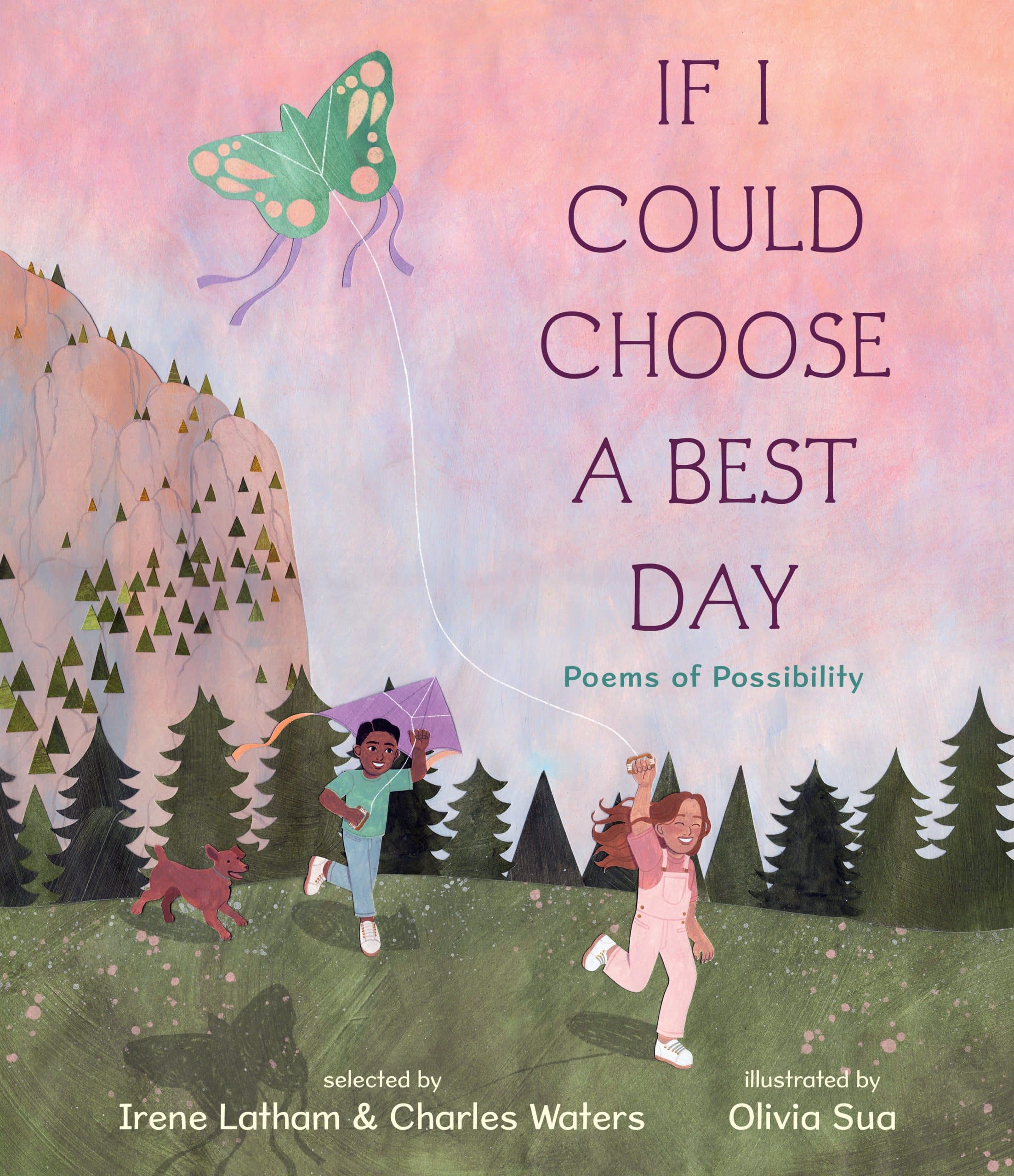 If I Could Choose a Best Day: Poems of Possibility: