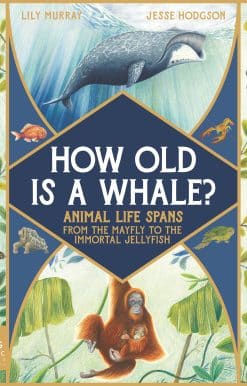 How Old Is a Whale?: Animal Life Spans from the Mayfly to the Immortal Jellyfish