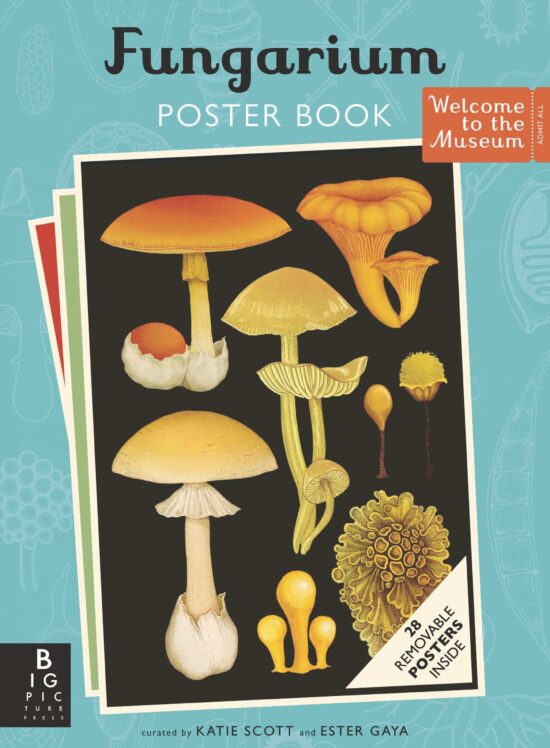 Fungarium Poster Book: