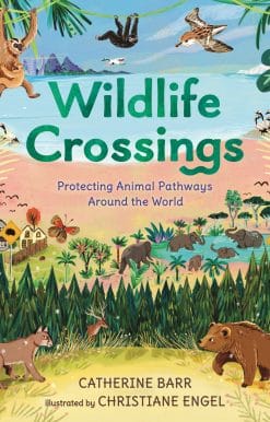 Wildlife Crossings: Protecting Animal Pathways Around the World