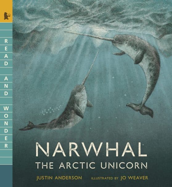 Read and Wonder: Narwhal: The Arctic Unicorn