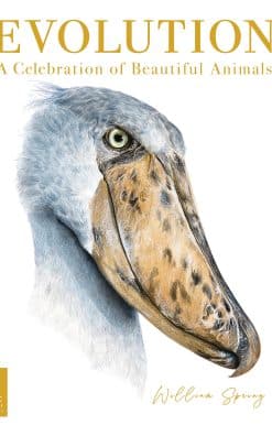 Evolution: A Celebration of Beautiful Animals