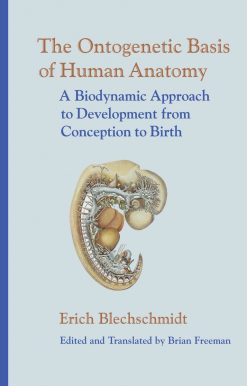The Ontogenetic Basis of Human Anatomy: A Biodynamic Approach to Development from Conception to Birth