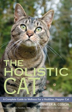 A Complete Guide to Wellness for a Healthier, Happier Cat: The Holistic Cat