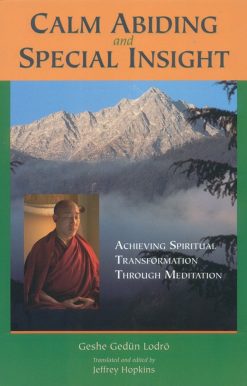 Calm Abiding and Special Insight: Achieving Spiritual Transformation through Meditation