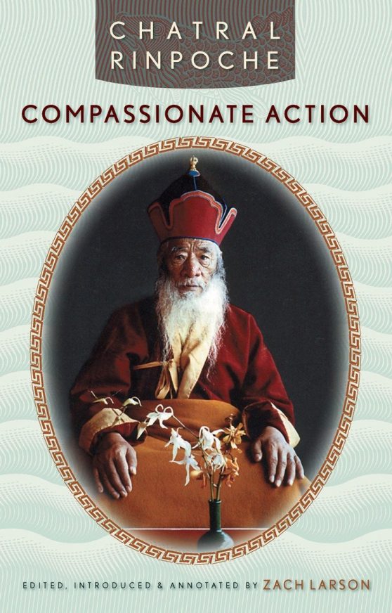Compassionate Action: