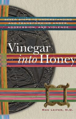 Vinegar into Honey: Seven Steps to Understanding and Transforming Anger, Aggression, and Violence