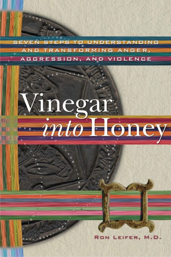 Vinegar into Honey: Seven Steps to Understanding and Transforming Anger, Aggression, and Violence