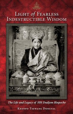 The Life and Legacy of His Holiness Dudjom Rinpoche: Light of Fearless Indestructible Wisdom