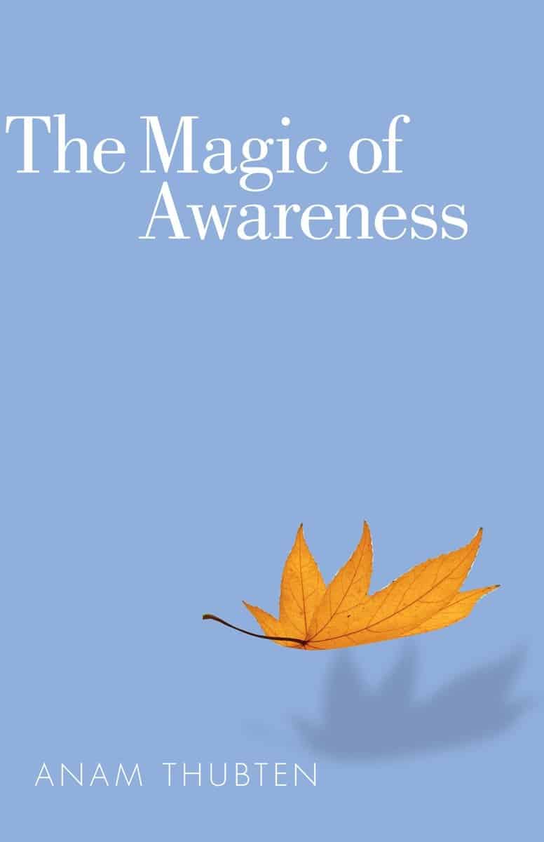 9781559393928 The Magic of Awareness