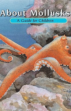 A Guide for Children: About Mollusks