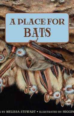 A Place for Bats